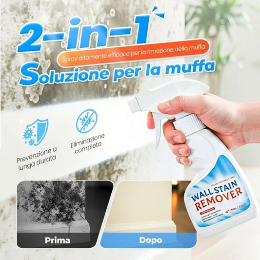 🔥Vendita Calda 2026🔥Spray Altamente Efficace per la Rimozione della Muffa - Previene la Ricrescita
