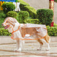 🔥Hot Sale 49% Off🔥Transparent Raincoat For Dog