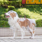 🔥Hot Sale 49% Off🔥Transparent Raincoat For Dog
