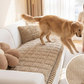 ⏳Sconto del 50% per un periodo limitato⏰Cuscino antiscivolo trapuntato in velluto a coste per divano🛋️