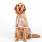 🔥Hot Sale 49% Off🔥Transparent Raincoat For Dog